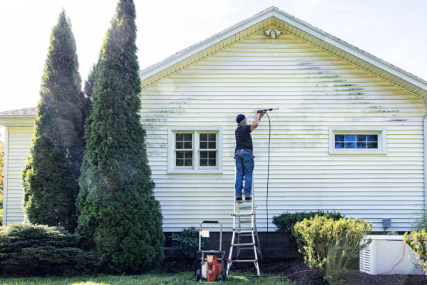 Best Graffiti Removal Services in Sunnyside, GA
